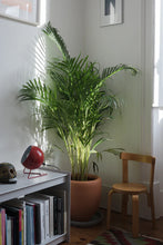 Load image into Gallery viewer, Plié Floor Unit