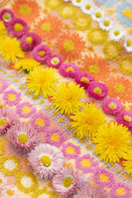 Load image into Gallery viewer, Multi Cloth Duo #126 (Kopie)