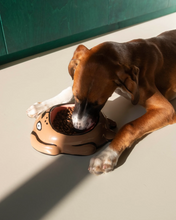 Load image into Gallery viewer, Dog Bowl by Jean Jullien