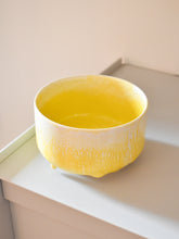 Load image into Gallery viewer, Munch Bowls