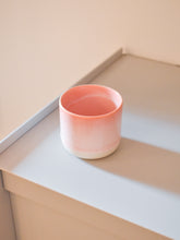 Load image into Gallery viewer, Sip Cups