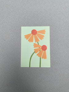 Paper Plants Postcard Makitoy - 13