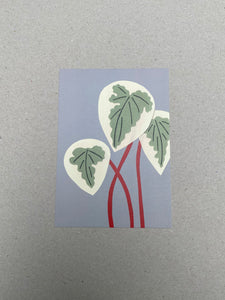 Paper Plants Postcard by Makitoy - 10