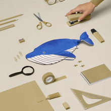 Load image into Gallery viewer, Don Fisher - Minke Whale Case