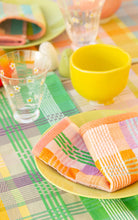 Load image into Gallery viewer, Multi Cloth Duo #51