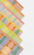 Load image into Gallery viewer, Multi Cloth Duo #51